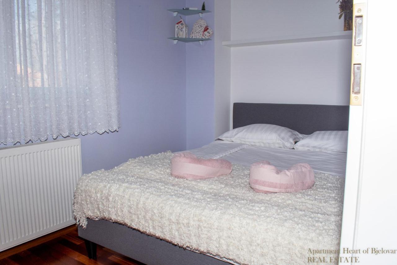 Apartment Heart Of Bjelovar Bagian luar foto