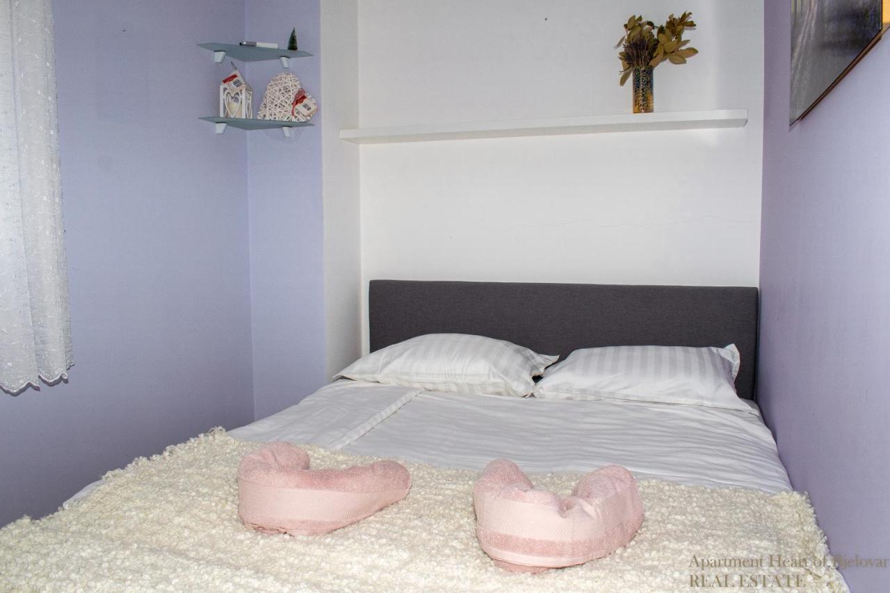 Apartment Heart Of Bjelovar Bagian luar foto